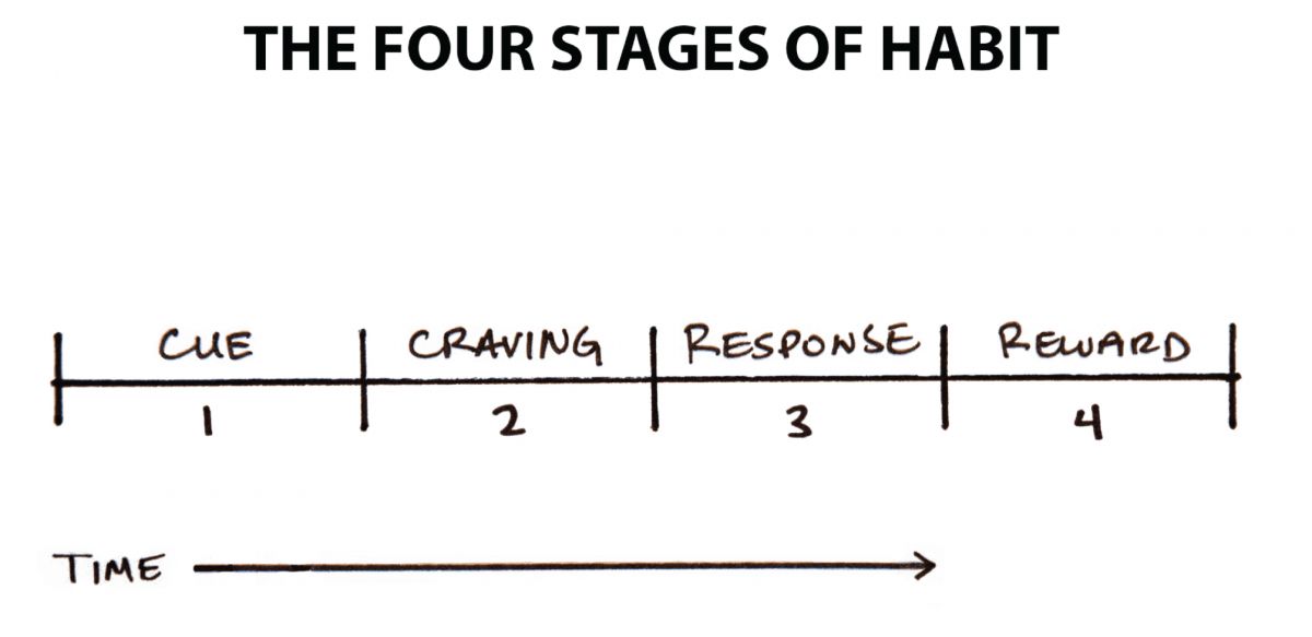 stages-of-habits
