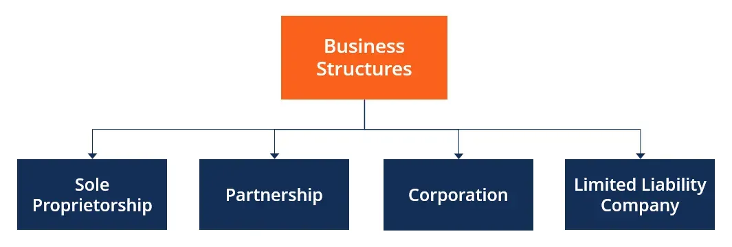 Business structures