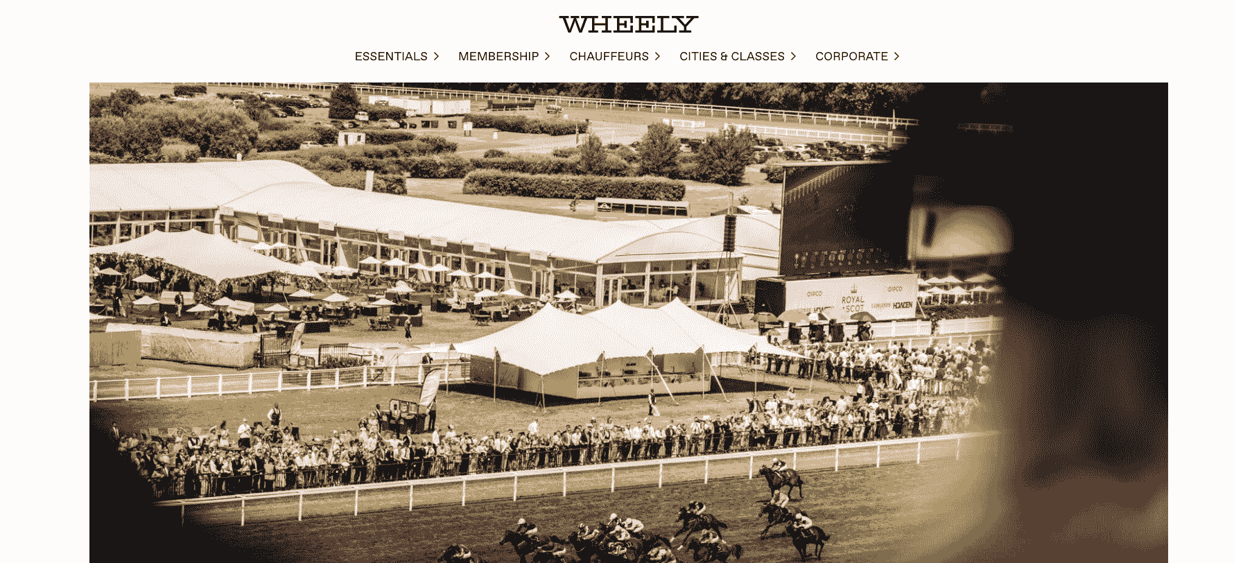 wheely-min (1).png