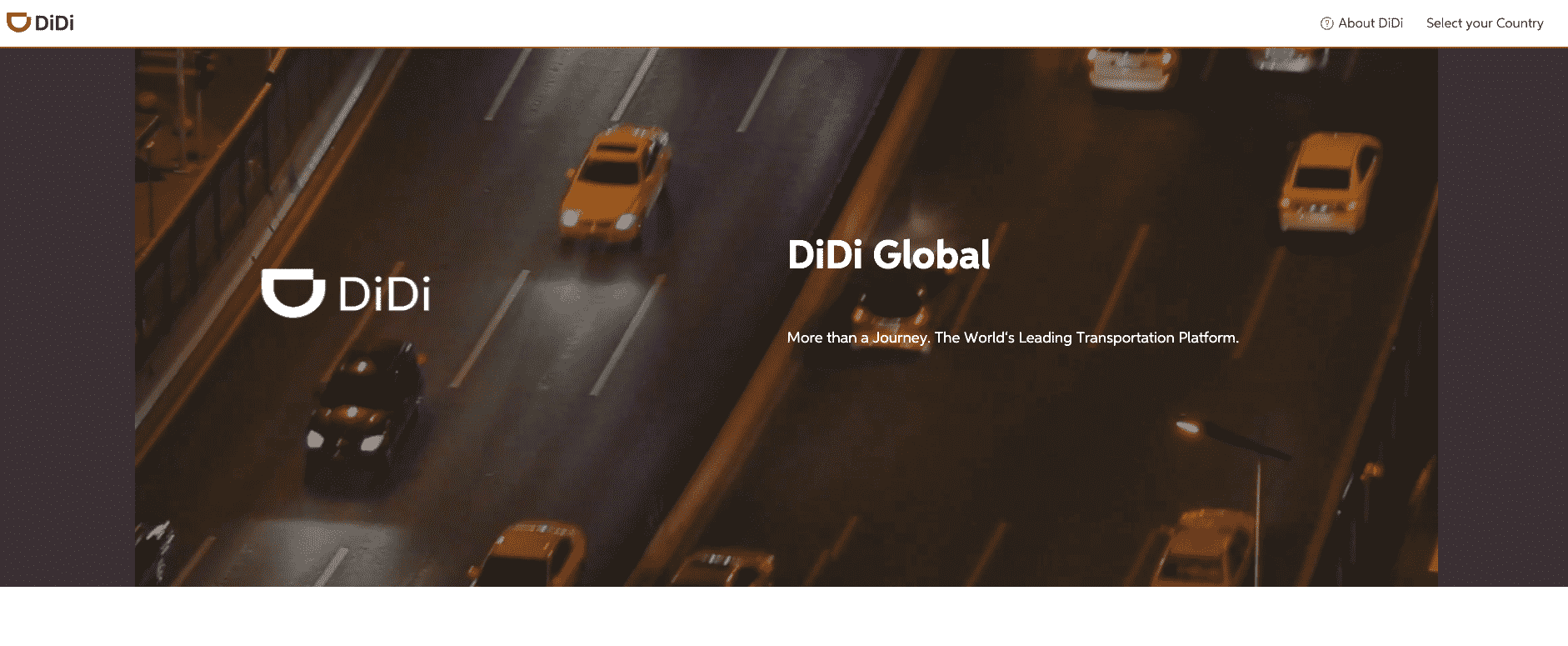 Didi -min.png