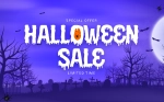 rentallscript sale Banner